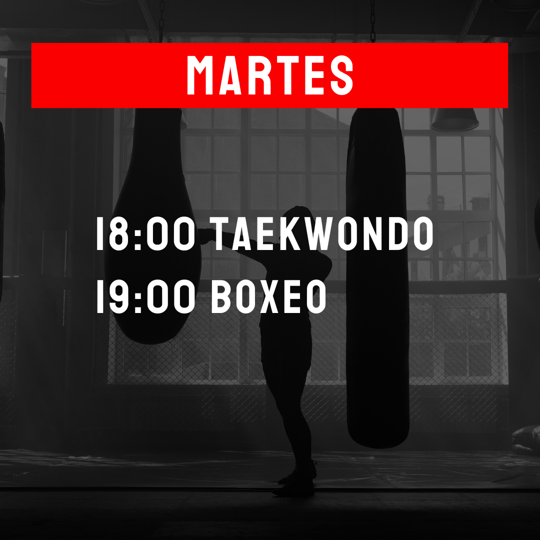 Martes2025